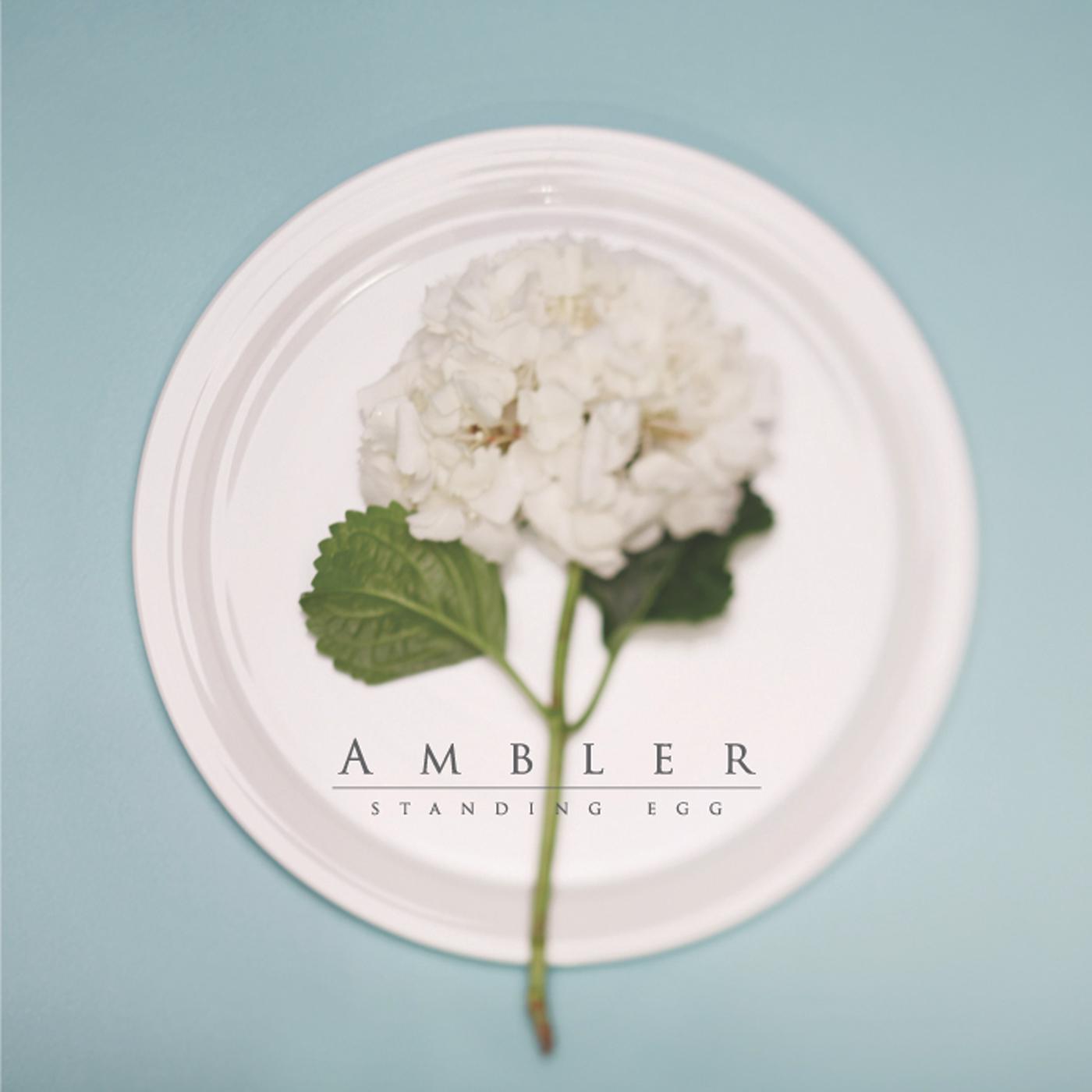 Miss Flower歌词 歌手Standing Egg-专辑AMBLER-单曲《Miss Flower》LRC歌词下载