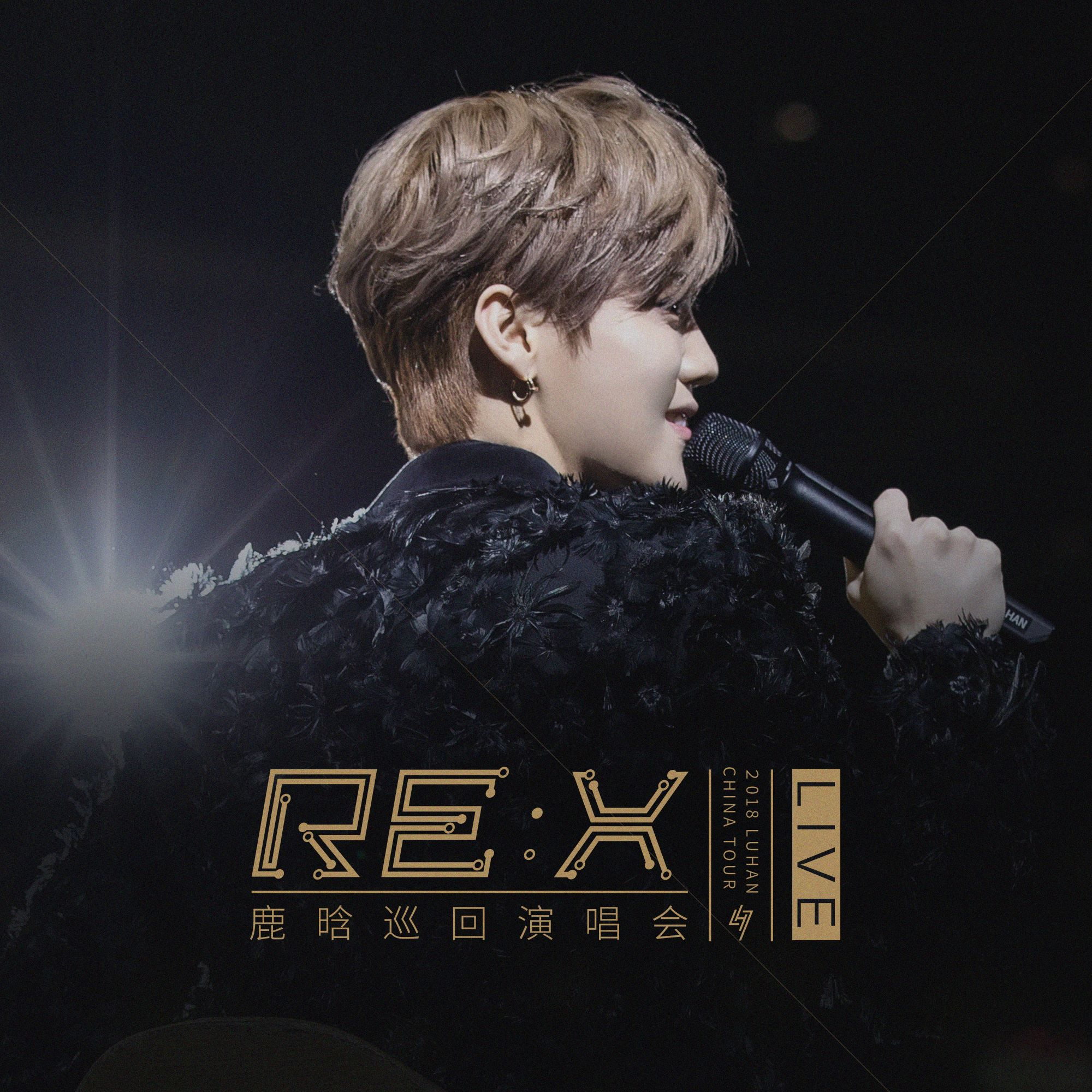 勋章 （Medals） (Live)歌词 歌手鹿晗-专辑2018鹿晗RE:X巡回演唱会-单曲《勋章 （Medals） (Live)》LRC歌词下载