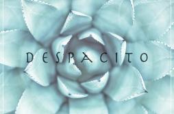Despacito歌词 歌手MADILYNLeroy Sanchez-专辑Despacito-单曲《Despacito》LRC歌词下载