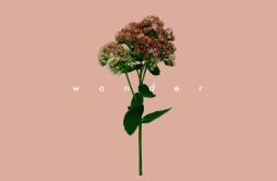 wonder歌词 歌手macico-专辑wonder-单曲《wonder》LRC歌词下载