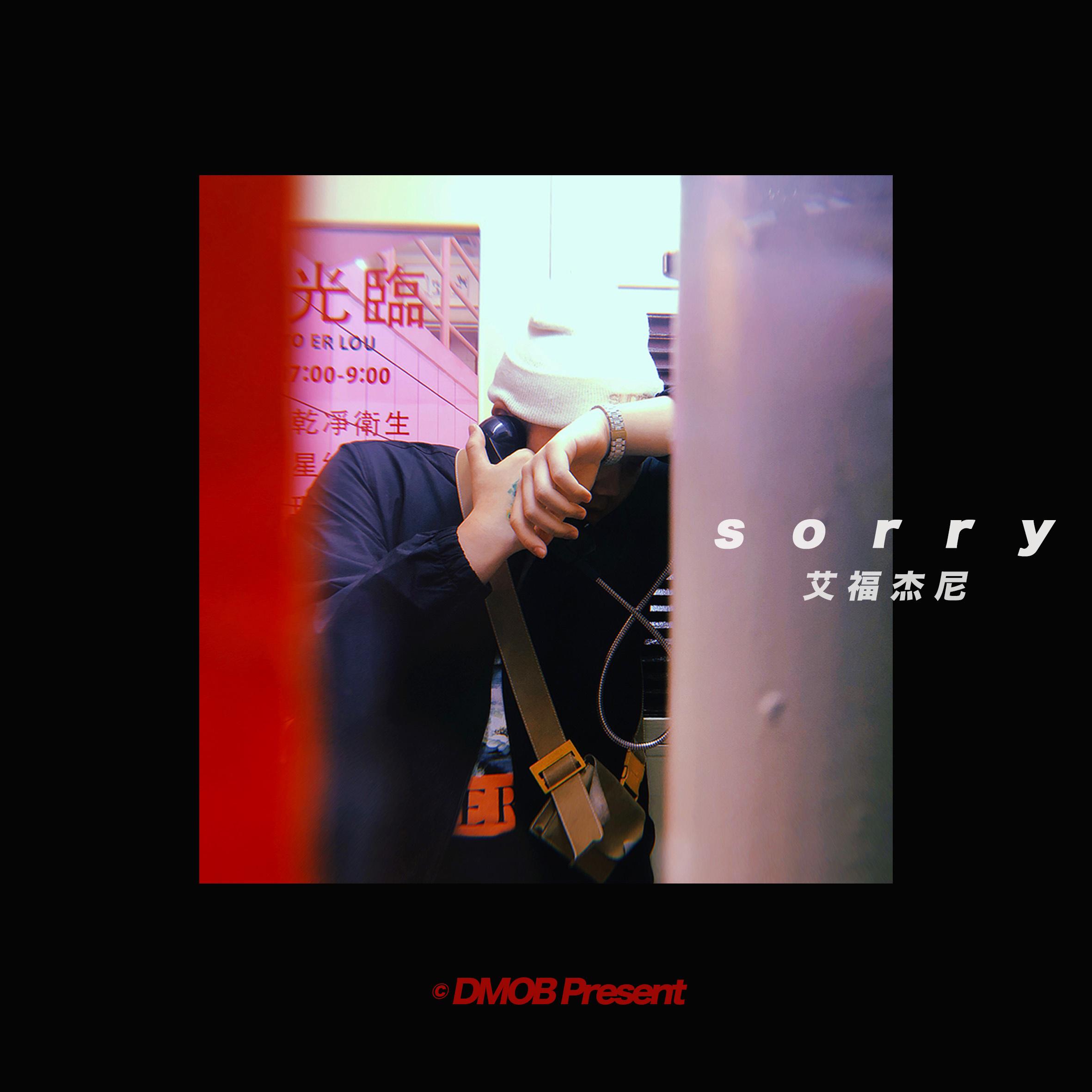 SORRY歌词 歌手艾福杰尼-专辑SORRY-单曲《SORRY》LRC歌词下载