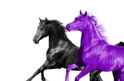 Seoul Town Road (Old Town Road Remix) feat. RM of BTS歌词 歌手Lil Nas XRM-专辑Seoul Town Road (Old Town Road Remix) feat. RM of BTS-单曲