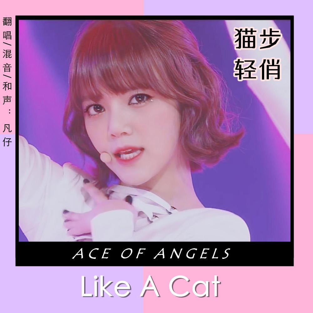 猫步轻俏（翻自 AOA）歌词 歌手凡仔-专辑猫步轻俏-单曲《猫步轻俏（翻自 AOA）》LRC歌词下载