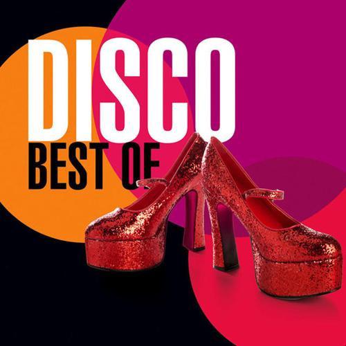 I Will Survive (Single Version)歌词 歌手Gloria Gaynor-专辑Best Of Disco-单曲《I Will Survive (Single Version)》LRC歌词下载