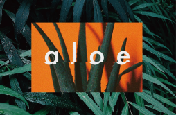 aloe歌词 歌手macico-专辑aloe-单曲《aloe》LRC歌词下载