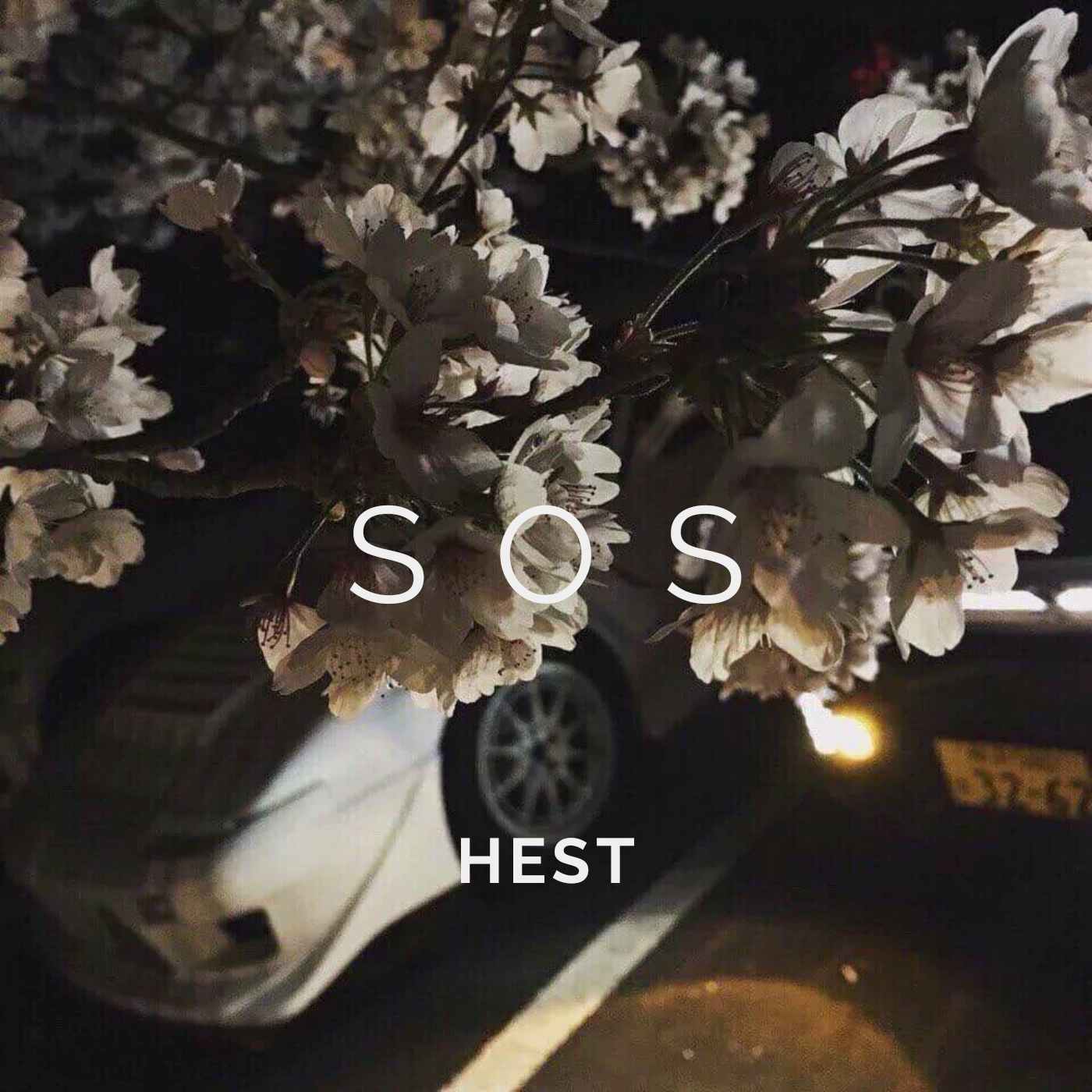 Avicii-SOS（HEST remix）歌词 歌手HEST-专辑SOS-单曲《Avicii-SOS（HEST remix）》LRC歌词下载