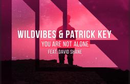 You Are Not Alone歌词 歌手WildVibesPatrick KeyDavid ShaneRevealed Recordings-专辑You Are Not Alone-单曲《You Are Not Alone》LRC歌词下载