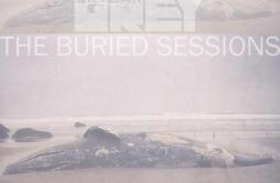 Coming Home (Part II)歌词 歌手Skylar Grey-专辑The Buried Sessions of Skylar Grey-单曲《Coming Home (Part II)》LRC歌词下载