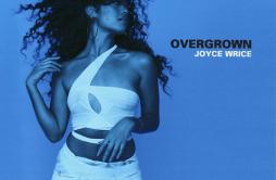Must Be Nice (feat. Masego)歌词 歌手Joyce WriceMasego-专辑Overgrown-单曲《Must Be Nice (feat. Masego)》LRC歌词下载