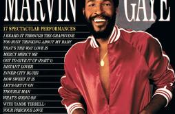 Inner City Blues (Make Me Wanna Holler) (Single Version)歌词 歌手Marvin Gaye-专辑Every Great Motown Hit Of Marvin Gaye-单曲《Inner City B