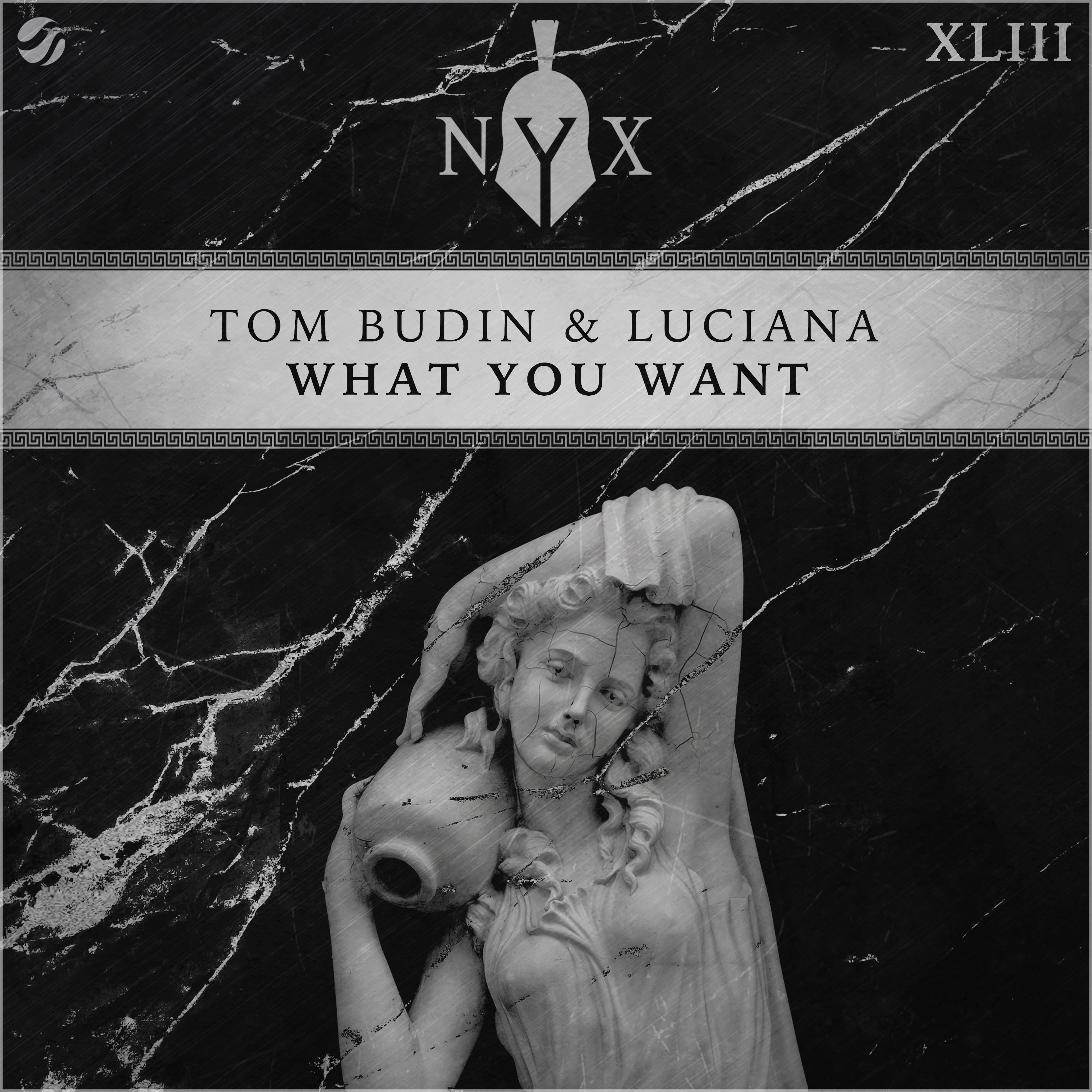 What You Want (Original Mix)歌词 歌手Tom Budin / Luciana-专辑What You Want-单曲《What You Want (Original Mix)》LRC歌词下载