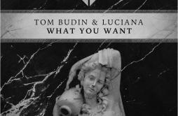 What You Want (Original Mix)歌词 歌手Tom BudinLuciana-专辑What You Want-单曲《What You Want (Original Mix)》LRC歌词下载