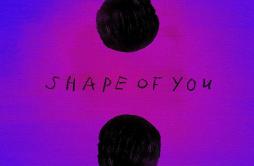 Shape Of You (T-Mass Remix)歌词 歌手T-MassEd Sheeran-专辑Shape Of You (T-Mass Remix)-单曲《Shape Of You (T-Mass Remix)》LRC歌词下载