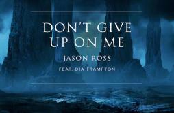 Don't Give Up On Me歌词 歌手Jason RossDia Frampton-专辑Don't Give Up On Me-单曲《Don't Give Up On Me》LRC歌词下载
