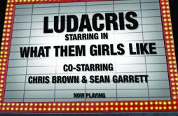 What Them Girls Like [co-starring Chris Brown & Sean Garrett (Explicit)]歌词 歌手Ludacris-专辑What Them Girls Like-单曲《What Them Gi