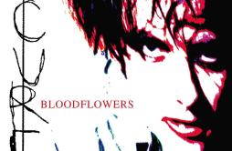 Out Of This World歌词 歌手The Cure-专辑Bloodflowers-单曲《Out Of This World》LRC歌词下载