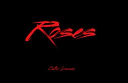 Rental歌词 歌手Carter Lovesee-专辑Roses-单曲《Rental》LRC歌词下载
