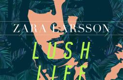 Lush Life (Acoustic Version)歌词 歌手Zara Larsson-专辑Lush Life (Acoustic Version)-单曲《Lush Life (Acoustic Version)》LRC歌词下载