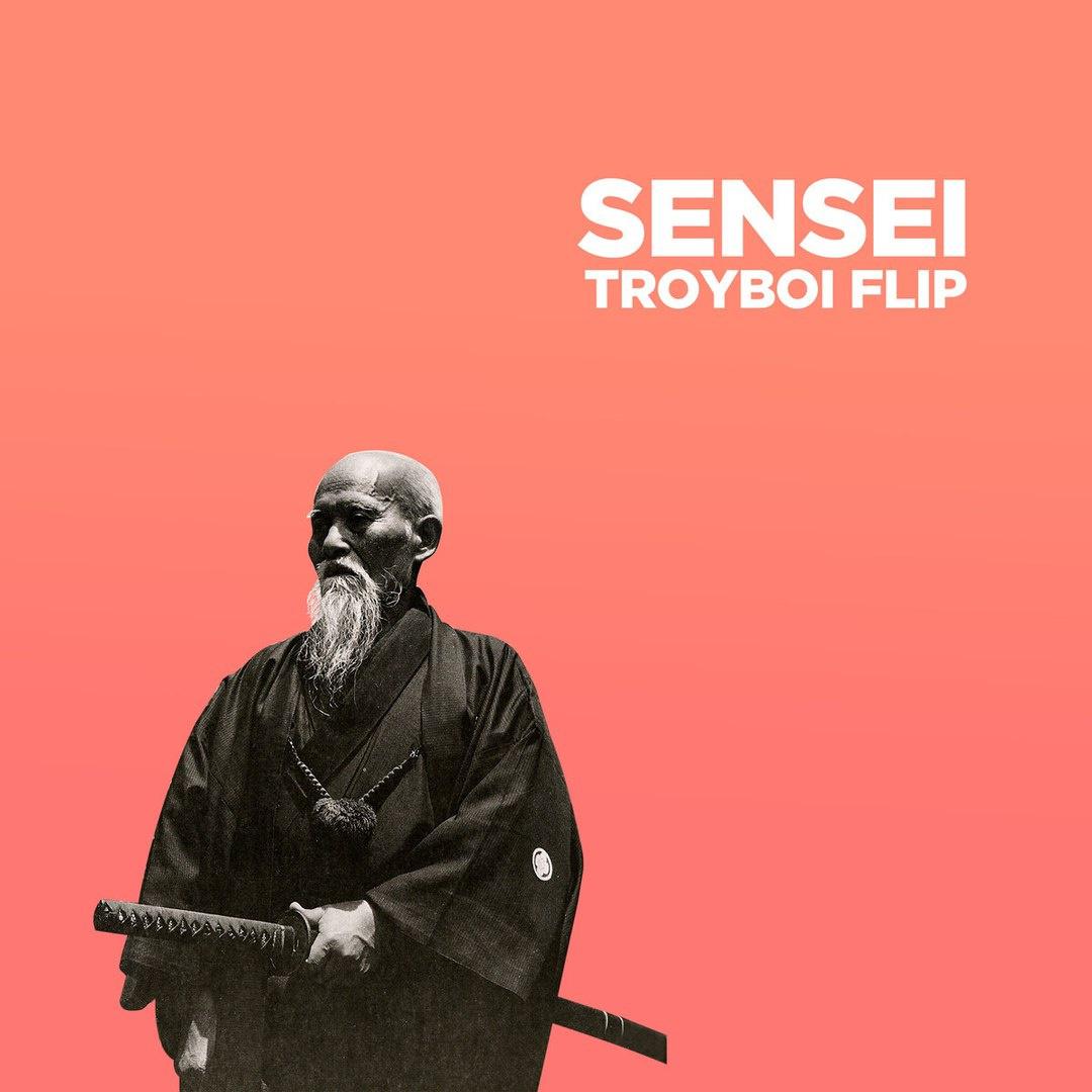 Sensei (TroyBoi Flip)歌词 歌手TroyBoi / Lafa Taylor-专辑Sensei (TroyBoi Flip)-单曲《Sensei (TroyBoi Flip)》LRC歌词下载