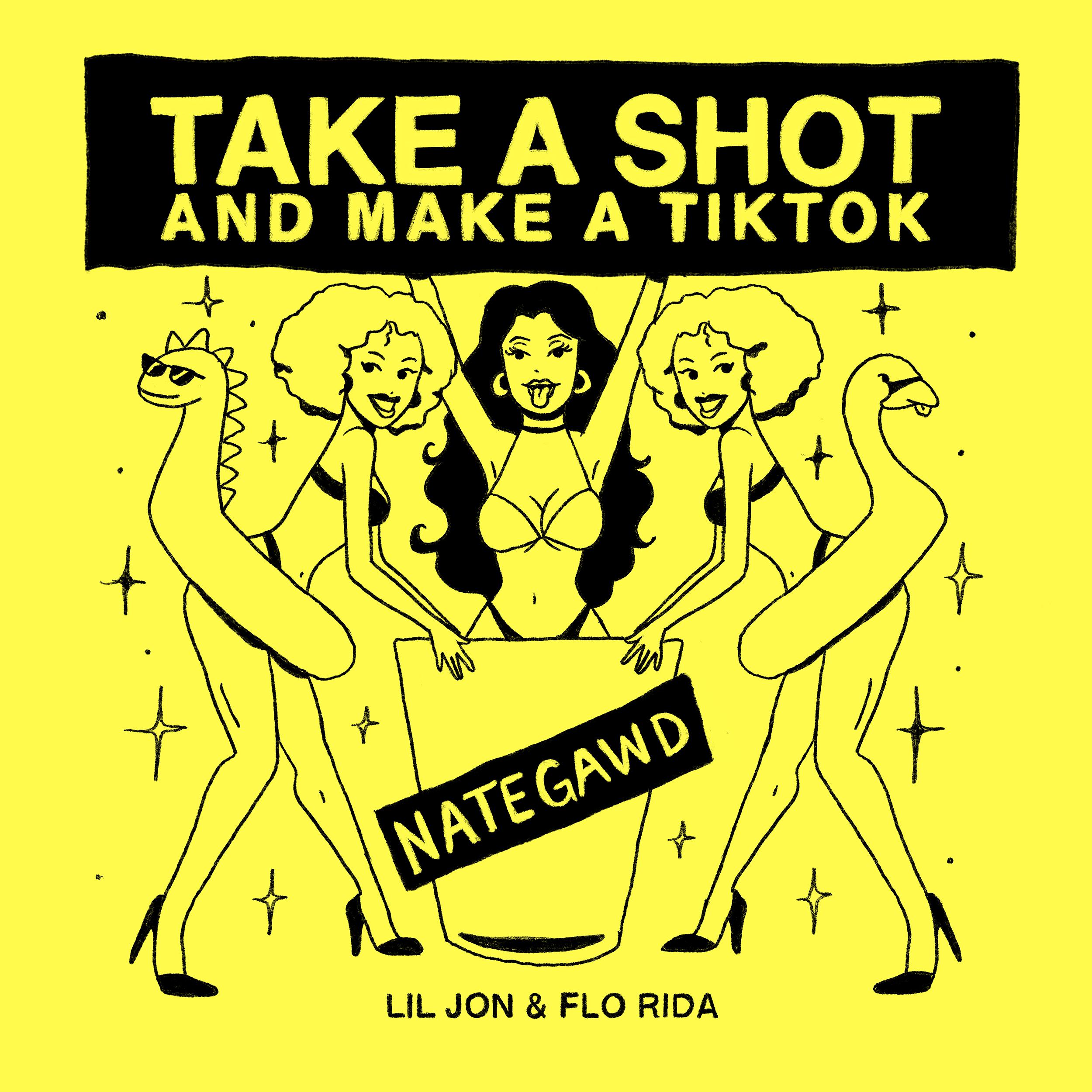 Take a Shot and Make a TikTok歌词 歌手Nategawd / Flo Rida / Lil Jon-专辑Take a Shot and Make a TikTok-单曲《Take a Shot and Make a TikTok》LRC歌词下载