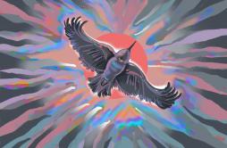 鸟（A Corbie)歌词 歌手软柿子（Soft Persimmon）-专辑鸟-单曲《鸟（A Corbie)》LRC歌词下载