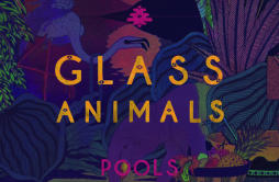 Love Lockdown歌词 歌手Glass Animals-专辑Pools-单曲《Love Lockdown》LRC歌词下载