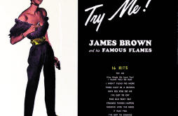 I Want You So Bad歌词 歌手James BrownThe Famous Flames-专辑Try Me-单曲《I Want You So Bad》LRC歌词下载