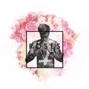 Roses X Love Yourself Mashup (Full Version)歌词 歌手Katie WagnerThe ChainsmokersJustin Bieber-专辑Roses X Love Yourself Mashup (Full V