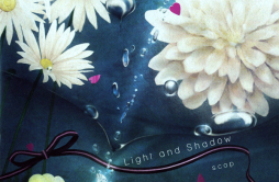 seventeen歌词 歌手すこっぷ-专辑Light and Shadow-单曲《seventeen》LRC歌词下载