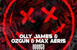 Hooked (Original Mix)歌词 歌手Olly JamesOzgunMax Aeris-专辑Hooked-单曲《Hooked (Original Mix)》LRC歌词下载