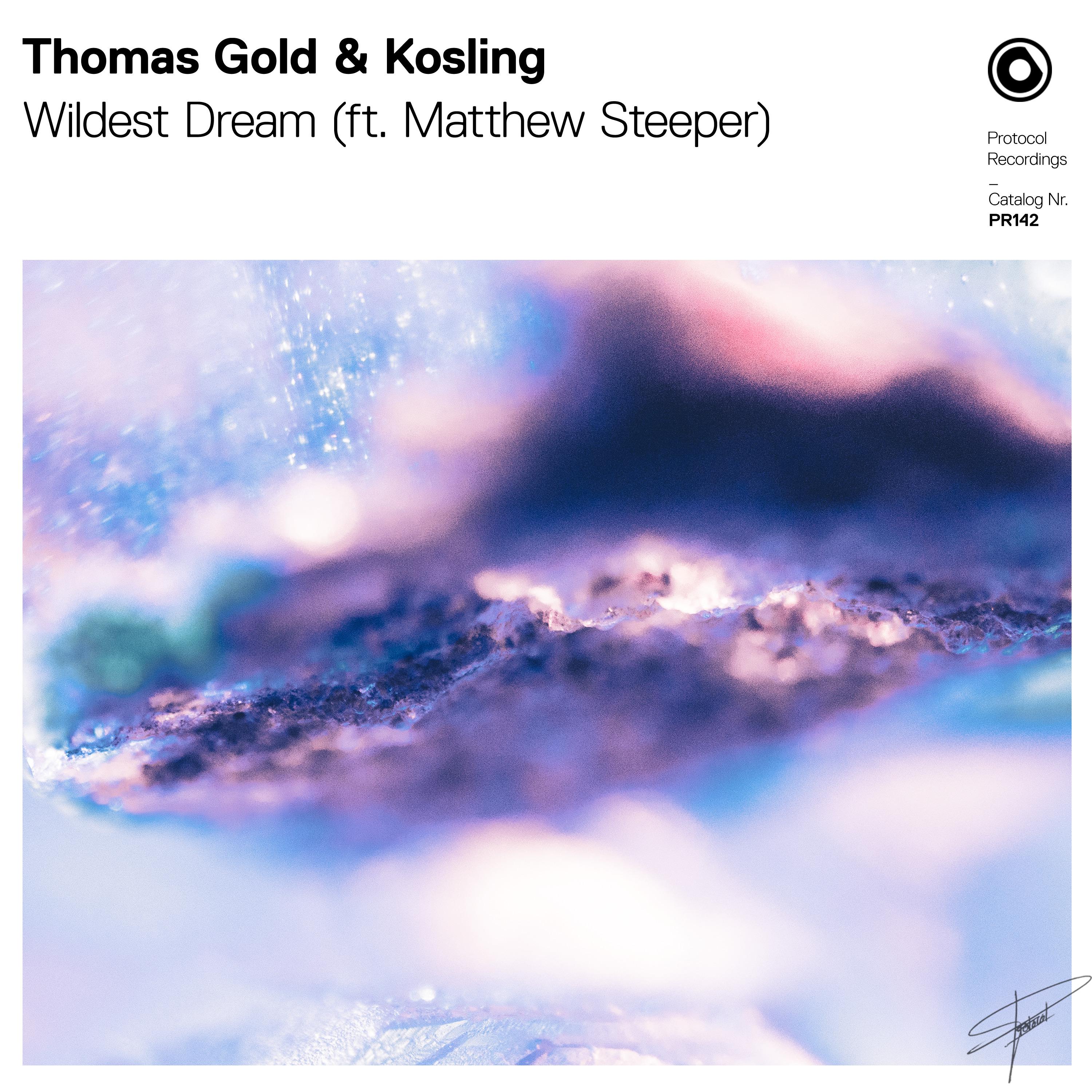 Wildest Dream歌词 歌手Thomas Gold / Kosling / Matthew Steeper-专辑Wildest Dream-单曲《Wildest Dream》LRC歌词下载