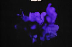 Still Wonder (feat. Robert Glasper)歌词 歌手Alex IsleyJack DineRobert Glasper-专辑Still Wonder (feat. Robert Glasper)-单曲《Still Wonder 