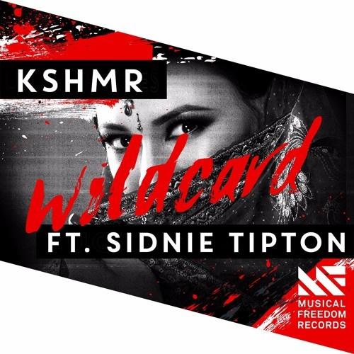Wildcard歌词 歌手KSHMR / Sidnie Tipton-专辑Wildcard-单曲《Wildcard》LRC歌词下载