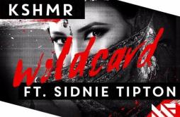 Wildcard歌词 歌手KSHMRSidnie Tipton-专辑Wildcard-单曲《Wildcard》LRC歌词下载