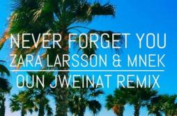 Never Forget You (Oun Jweinat Remix)歌词 歌手Oun JweinatZara LarssonMNEK-专辑Never Forget You (Oun Jweinat Remix)-单曲《Never Forget You 