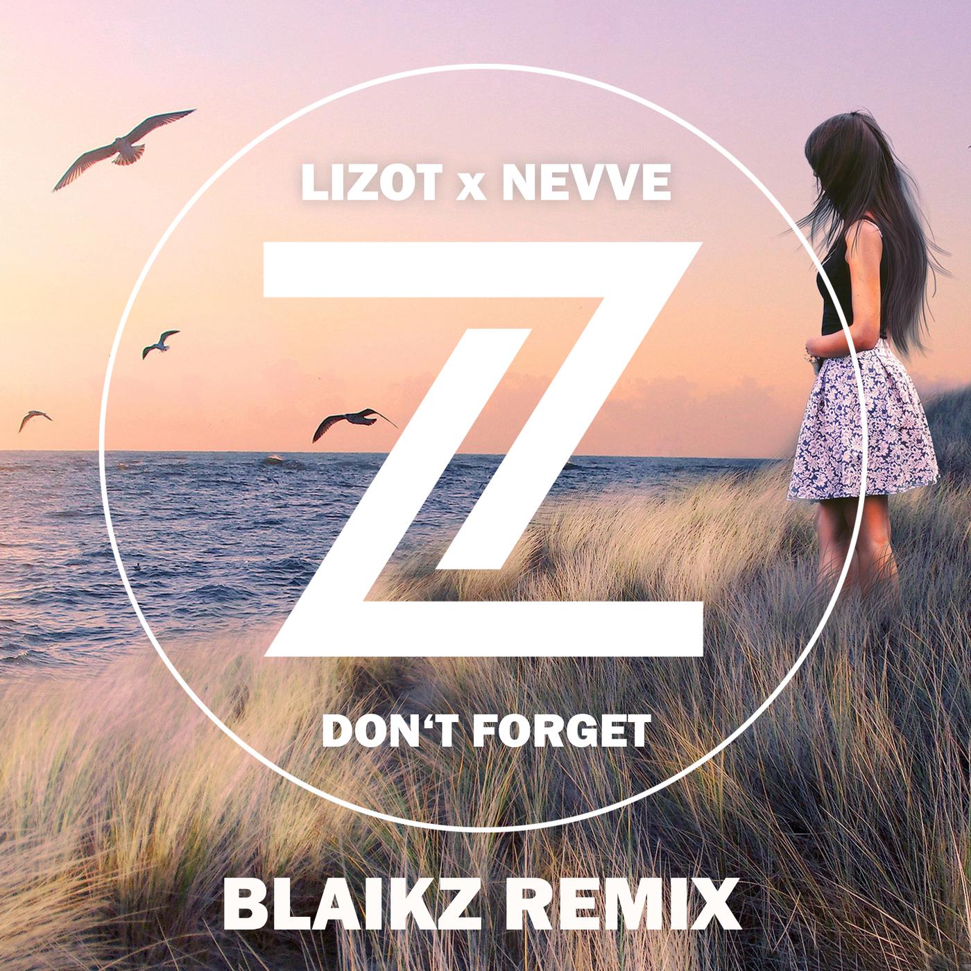 Don't Forget (Blaikz Remix)歌词 歌手LIZOT / Nevve / Blaikz-专辑Don't Forget (Blaikz Remix)-单曲《Don't Forget (Blaikz Remix)》LRC歌词下载