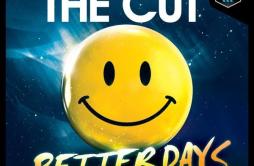 Better Days (Avicii Remix)歌词 歌手The Cut-专辑Better Days-单曲《Better Days (Avicii Remix)》LRC歌词下载