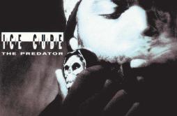 It Was A Good Day歌词 歌手Ice Cube-专辑The Predator (World) (Explicit)-单曲《It Was A Good Day》LRC歌词下载