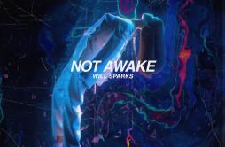 Not Awake歌词 歌手Will Sparks-专辑Not Awake-单曲《Not Awake》LRC歌词下载