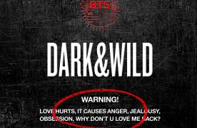 Outro : Do you think it makes sense?歌词 歌手BTS (防弹少年团)-专辑DARK&WILD-单曲《Outro : Do you think it makes sense?》LRC歌词下载