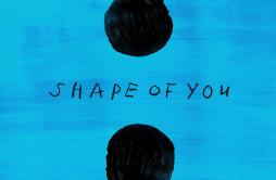 Shape of You (Acoustic)歌词 歌手Ed Sheeran-专辑Shape of You (Acoustic)-单曲《Shape of You (Acoustic)》LRC歌词下载