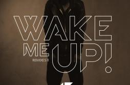 Wake Me Up (EDX's Miami Sunset Remix)歌词 歌手Avicii-专辑Wake Me Up (Remixes II)-单曲《Wake Me Up (EDX's Miami Sunset Remix)》LR