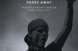 Fades Away (Tribute Concert Version)歌词 歌手AviciiMishCatt-专辑Fades Away (Tribute Concert Version)-单曲《Fades Away (Tribute Concert Ve