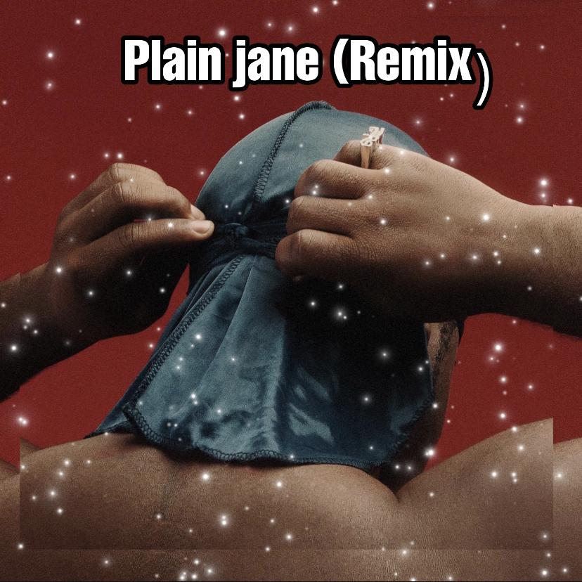 Plain jane歌词 歌手GANGSTER / House_鳄鱼 / 9DIUZ-专辑Plain jane (GANGSTER Remix)-单曲《Plain jane》LRC歌词下载