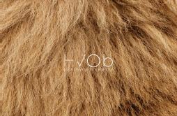 28TH歌词 歌手HVOB-专辑Lion-单曲《28TH》LRC歌词下载