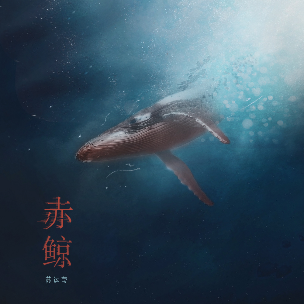 赤鲸歌词 歌手苏运莹-专辑赤鲸-单曲《赤鲸》LRC歌词下载
