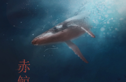 赤鲸歌词 歌手苏运莹-专辑赤鲸-单曲《赤鲸》LRC歌词下载