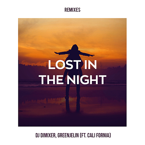 Lost In The Night (Grushevski & Misha ZAM remix)歌词 歌手DJ DimixeR / Cali Fornia / Greenjelin-单曲《Lost In The Night (Grushevski & Misha ZAM remix)》LRC歌词下载