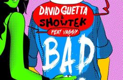 Bad (Original Mix)歌词 歌手David GuettaShowtekVassy-专辑Bad-单曲《Bad (Original Mix)》LRC歌词下载