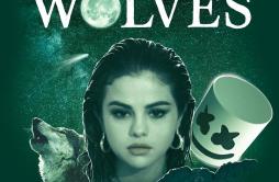 Wolves (Total Ape Remix)歌词 歌手Selena GomezMarshmelloTotal Ape-专辑Wolves (Total Ape Remix)-单曲《Wolves (Total Ape Remix)》LRC歌词下载